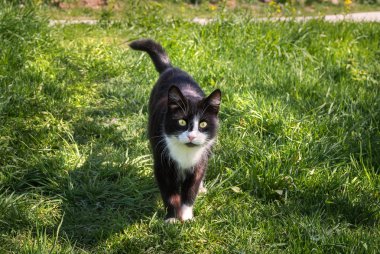 Piskovichi Köyü sakini