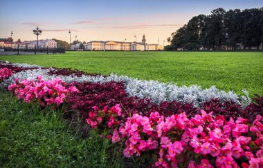 Senato Meydanı çayırda çiçek