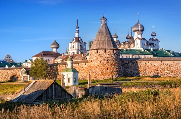 ソロヴェツキー修道院の寺院と塔ソロヴェツキー島と黄色の秋の草 — ストック写真