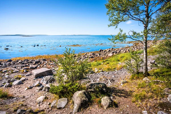 Mar Blanco Las Islas Solovetsky Piedras Orilla Piedra Negociación — Foto de Stock