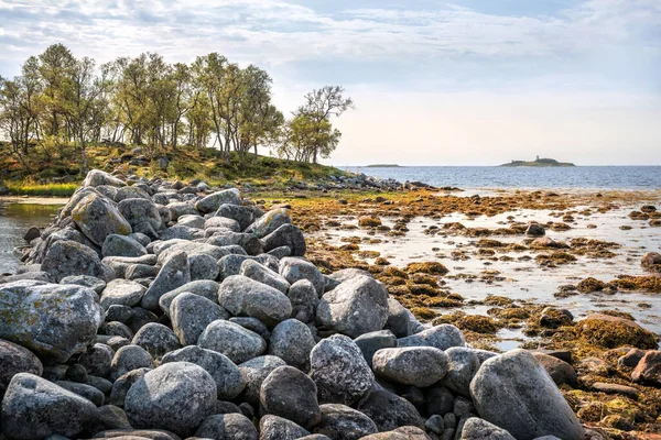 Grandes Piedras Cantos Rodados Las Jaulas Filippovsky Las Islas Solovetsky — Foto de Stock