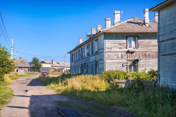 Cat Road Wooden Residential Building Solovetsky Islands Blue Autumn Sky — Stock Photo, Image