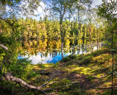 Anzer Adası 'nda (Solovetsky Adaları), sonbahar güneşinin ışınları altında mavi gökyüzünün altında güzel bir göle bakan manzara.