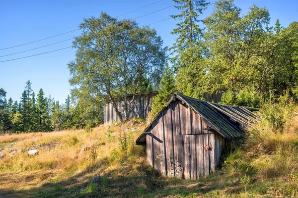 Wooden Shed Cellar Edge Northern Forest Solovetsky Islands Rays Autumn — Stock Photo, Image