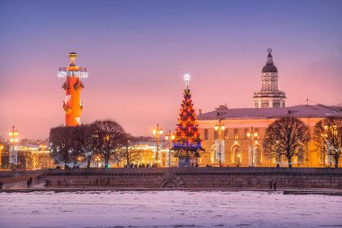 St. Petersburg 'daki borsaya yakın Rostral sütun, ladin ve kis leylagi gecesinde