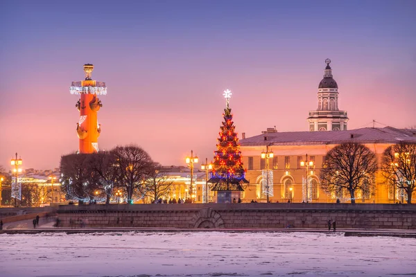 Petersburg Daki Borsaya Yakın Rostral Sütun Ladin Kis Leylagi Gecesinde — Stok fotoğraf