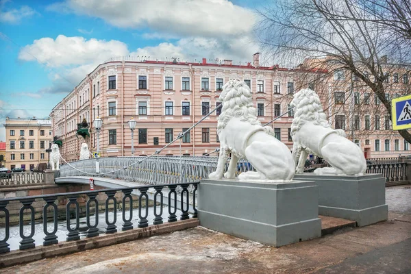 Білі Скульптури Левів Левовому Мосту Через Ґрібоєвський Канал Санкт Петербурзі — стокове фото