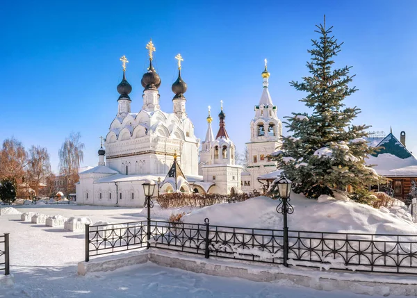 Dreifaltigkeitskathedrale Und Flauschige Fichten Dreifaltigkeitskloster Murom Einem Schneebedeckten — Stockfoto