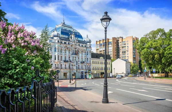 Lilac Květiny Elkind Bytový Dům Bolshaya Nikitskaya Ulici Moskvě Letní — Stock fotografie