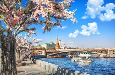 Moskva Nehri 'nin seti üzerindeki çiçek ağaçları Kremlin nehri ve Moskova' da güneşli bir yaz gününde gemiler.