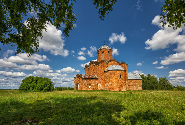 лошади с белой гривой
