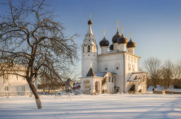 Gestreifter Winter — Stockfoto