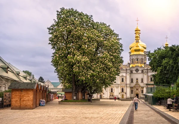 Kestane ağaçları manastırda çiçeklenme — Stok fotoğraf