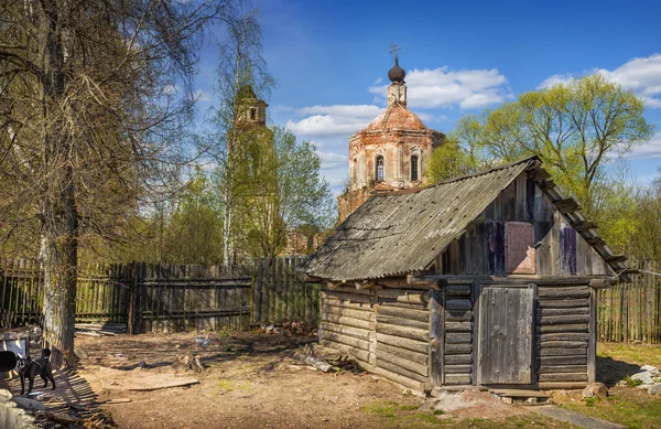 Był szczekał — Zdjęcie stockowe