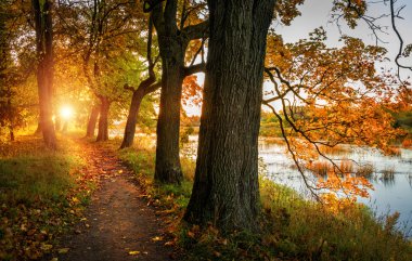 Yol boyunca güneşe