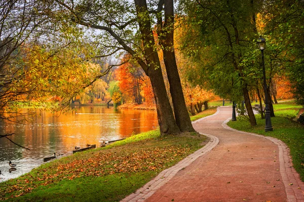 Yangın Sonbahar bir parkta — Stok fotoğraf