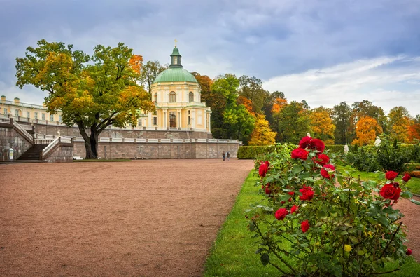 Осенние розы перед дворцом — стоковое фото