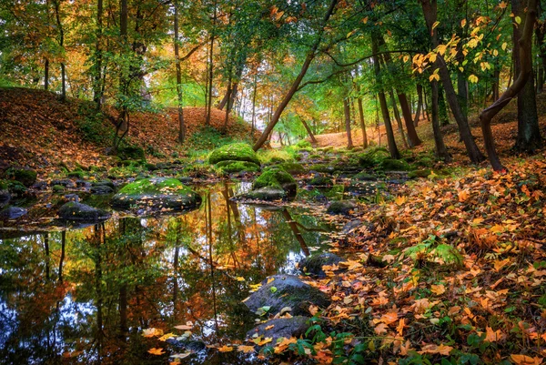 Río en el parque de otoño — Foto de Stock