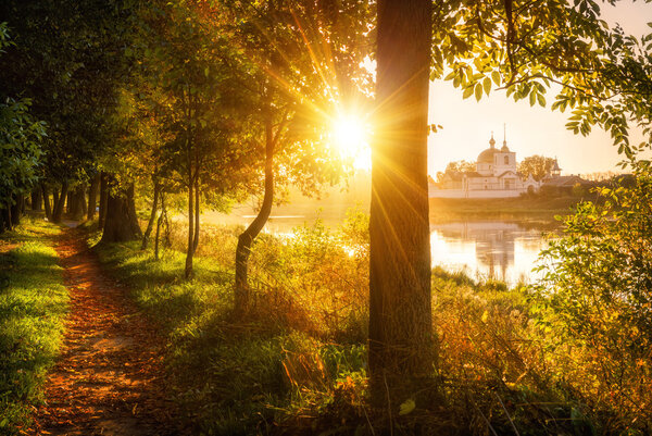 Sunny Morning landscape