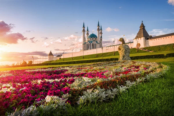 Kazan bloem peacock — Stockfoto