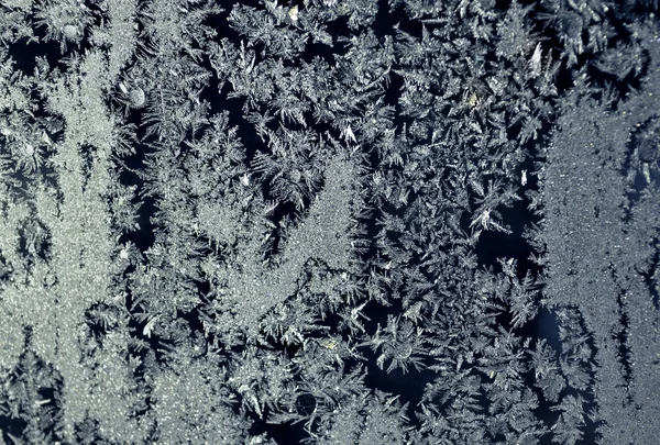 Traceryen från frost — Stockfoto