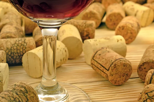 Cortiça para vinho — Fotografia de Stock