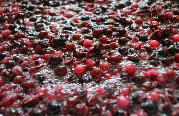 ワインの果実から果肉の発酵 ロイヤリティフリーのストック写真