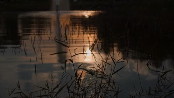 Reflejo Agua Del Sol Poniente Hermoso Lugar Orilla Pequeño Lago — Vídeos de Stock