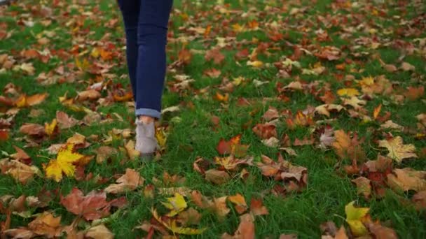 Kvinna Går Genom Höstskogen Kameran Riktad Mot Hennes Fötter Stövlar — Stockvideo