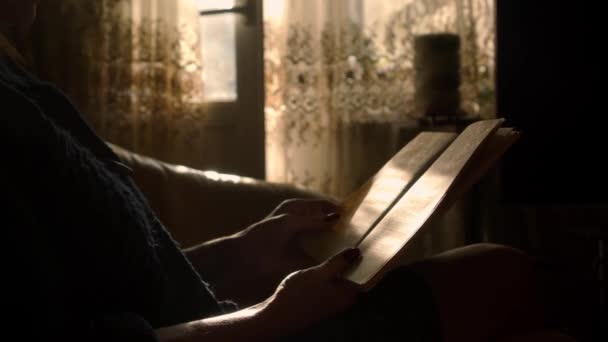 一个女人正坐在家里的沙发上看书 一个舒适的环境单独与一本书 检疫期间在家里做什么 — 图库视频影像