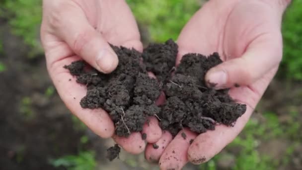 Rolnik Trzyma Żyzną Ziemię Rękach Uprawa Żyznych Gruntów Uprawy Roślin — Wideo stockowe