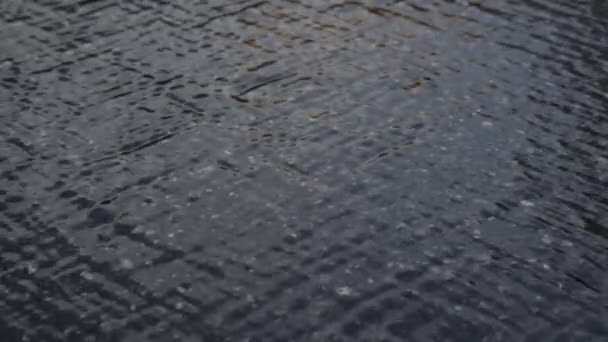 雨水はアスファルトに沿って流れています ぬれた道を閉じるまで 水の質感の移動 — ストック動画
