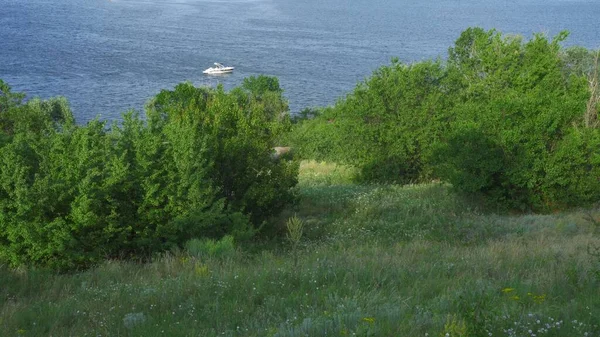 Een Klein Modern Jacht Staat Een Baai Aan Rivier Zee — Stockfoto