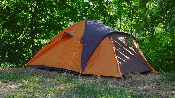 Ormanda bir turist çadırı var. Yürüyüş, açık hava aktiviteleri.