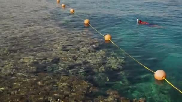 Un touriste observe un récif corallien avec un masque de plongée. — Video