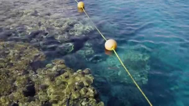 サンゴ礁を保護するために水の上に制限されたブイ。海洋生物の保護。危険な水泳場. — ストック動画