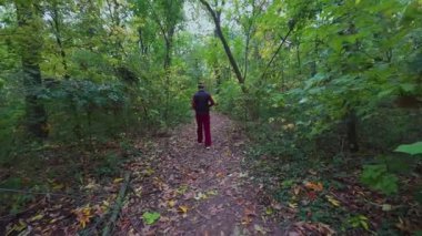Yalnız bir kadın bir sonbahar günü orman yolunda yürüyor. Etrafı yeşillik ve yapraklarla çevrili..