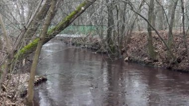 Dar bir nehrin karanlık suları yavaşça dökülen yapraklarla kaplı kıyılar arasında akar..