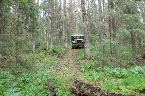 American retro car Dodge WC-51 rides in the forest on the hard road, 3rd international meeting 