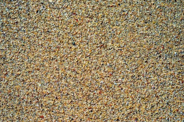 Sand at the beach as a textured background — Stock Photo, Image