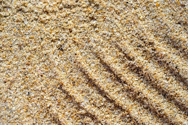 Sand Texture. Brown sand. Background from fine sand. — Stock Photo, Image
