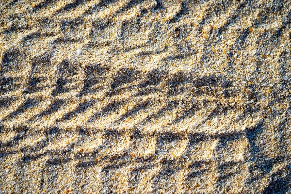Car tracks in the sand — Stock Photo, Image