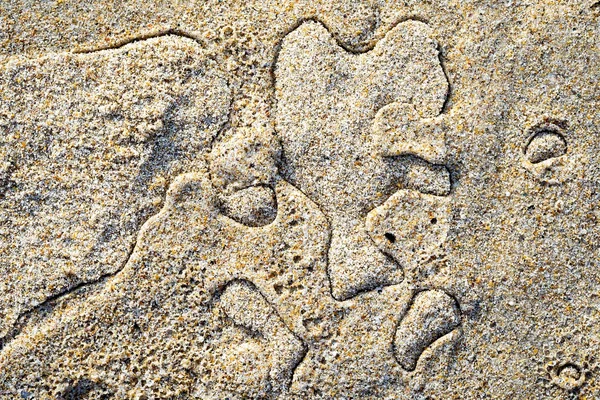 Pattern on the sand by wet drops — Stock Photo, Image