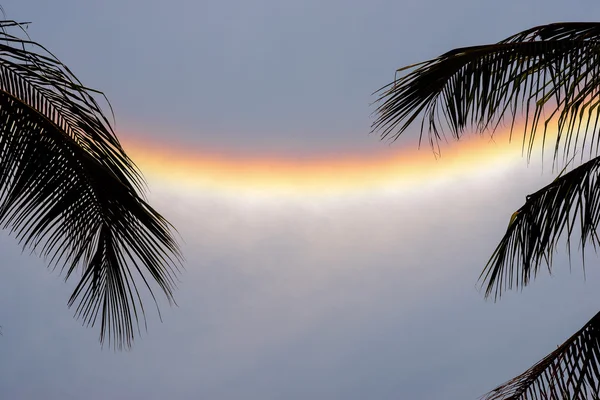 Kreativer Hintergrund für die Reiseankündigung - Regenbogen- und Palmenblätter an den Seiten, mit freiem Platz für Ihren Text — Stockfoto