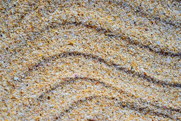 Sand Texture. Brown sand. Background from fine sand. Sand background — Stock Photo, Image