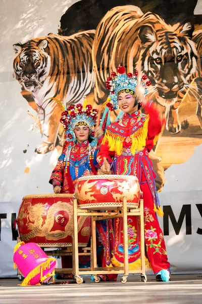 Moscú, Rusia - 31 de julio de 2016: la actuación del espectáculo chino Golden Dragon Drumpst al aire libre durante la celebración del día internacional del tigre en Moscú. Mujeres con tambores . — Foto de Stock