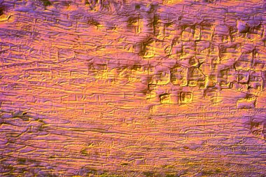 herhangi bir tasarım ahşap dokulu parlak arka plan