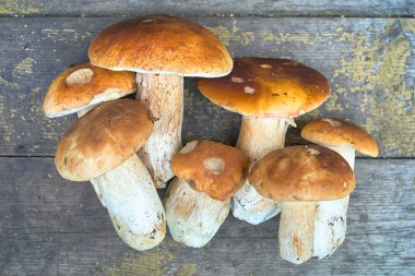 Sonbahar yenilebilir bir demet Boletus mantarı ahşap yüzeyde mantar.