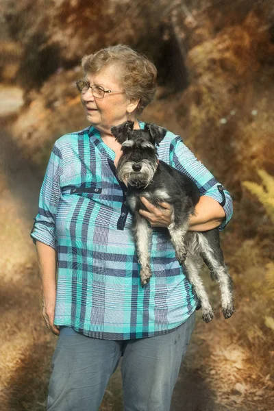 老年妇女站在秋天自然的背景与手上的狗迷你雪纳瑞犬 — 图库照片