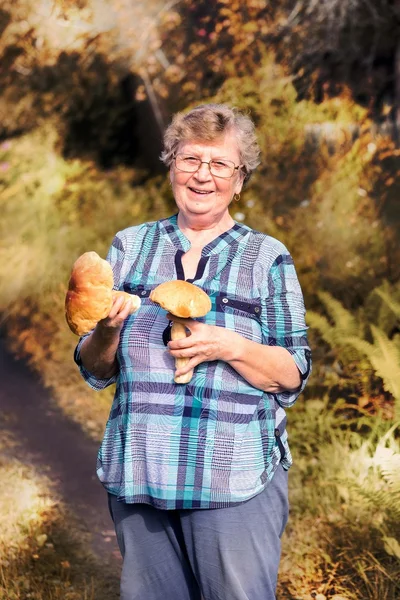 Femme âgée souriante cueilleuse de champignons à l'automne avec deux casseroles — Photo